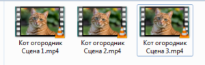 Папка с файлами
